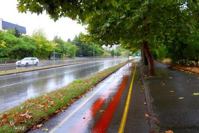 dazhd-razgrad-vreme.jpg