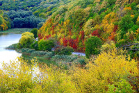 esen-pchelina-vreme.jpg