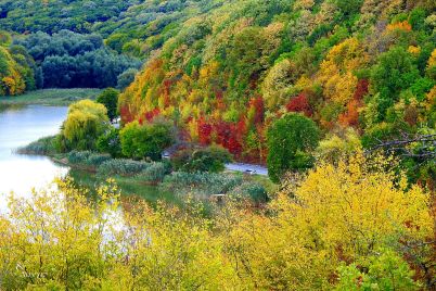 esen-pchelina-vreme.jpg