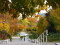 loznitsa-park-esen-vreme.jpg