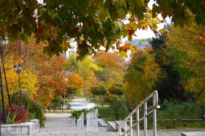 loznitsa-park-esen-vreme.jpg