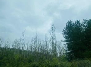 Облачен и топъл за сезона петък в Разград