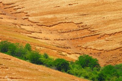 pole-vreme-3.jpg