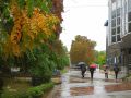razgrad-dazhd-vreme.jpg