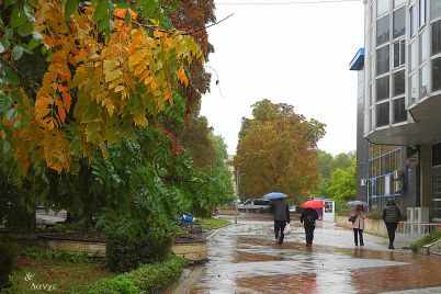 razgrad-dazhd-vreme.jpg