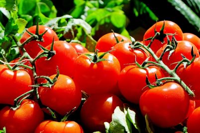 tomatoes-1280859_1280.jpg