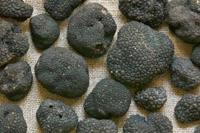 truffles-black.jpg